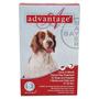 Advantage Topical Flea Treatment for Dogs 21-55 Lbs (6 Applications)