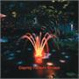 Kasco Aerating Fountain with Lights 1/4 HP, 50-Ft. Cord, Model# 1400JFL050 Kasco Aerating Fountain with Lights 1/4 HP, 50-Ft. Cord, Model# 1400JFL050