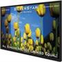 Vutec EZ92-GD VuEasy 16:9 Framed Wall Screen Vutec EZ92-GD VuEasy 16:9 Framed Wall Screen